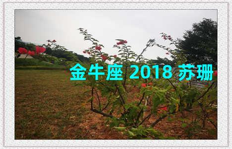 金牛座 2018 苏珊